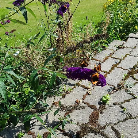 Oda ve Kahvaltı Kyndestoft