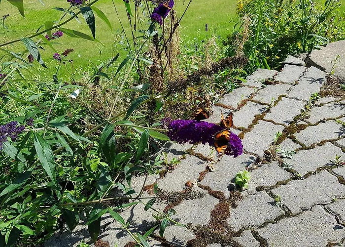 לינה וארוחת בוקר Kyndestoft