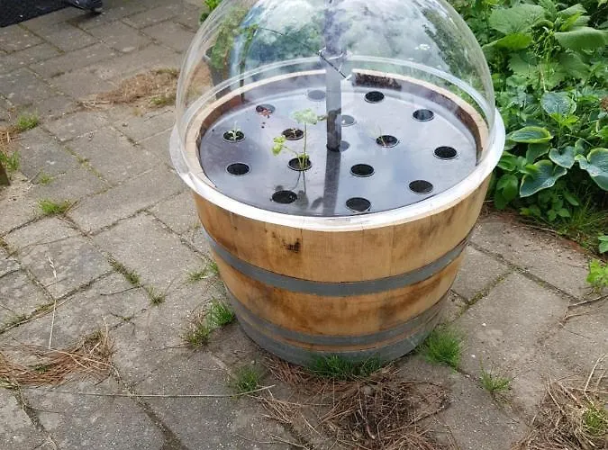 Kyndestoft 4* הולסטברו